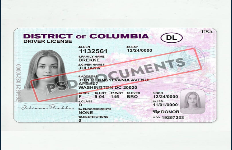Unveiling the Different Types of Illinois Driver’s License Templates