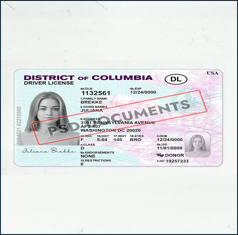 Unveiling the Different Types of Illinois Driver’s License Templates