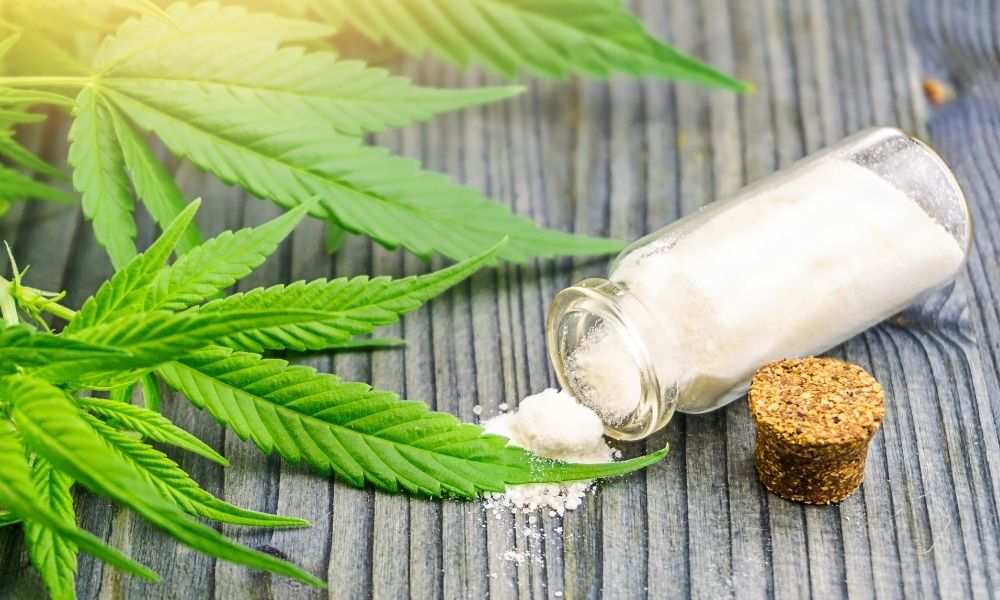 Why is SEO important for CBD companies?